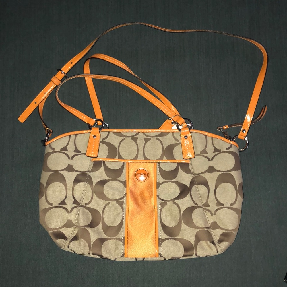 Fun and Citrus Laptop Bag